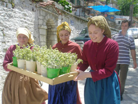 Perista Tea Festival 2009052